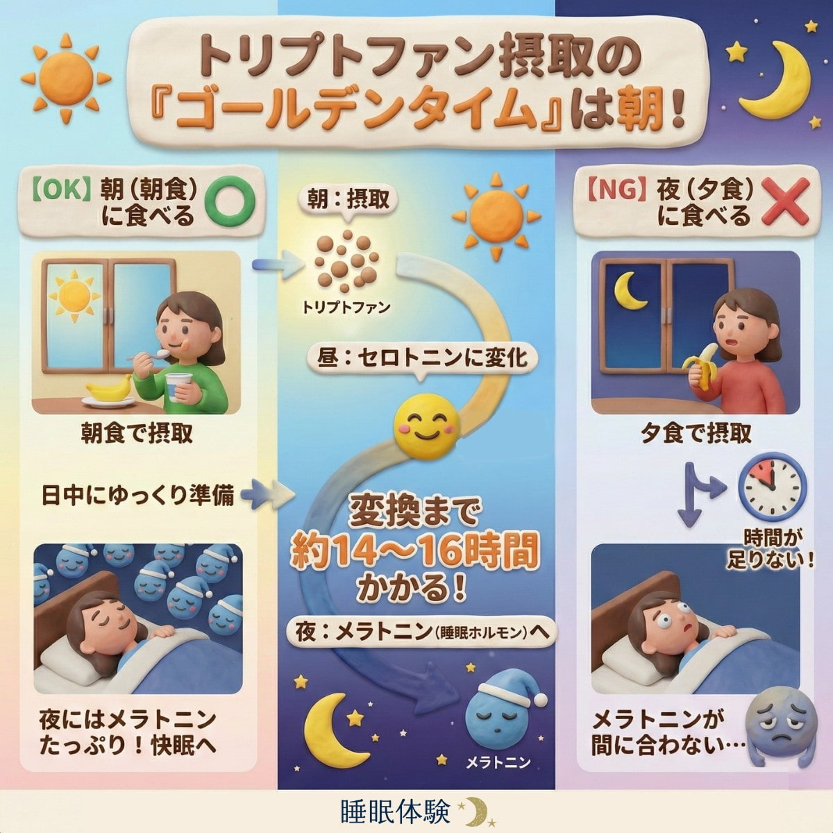 「トリプトファン」は夜ではなく「朝」食べる