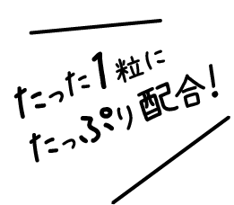 たった1粒にたっぷり配合！