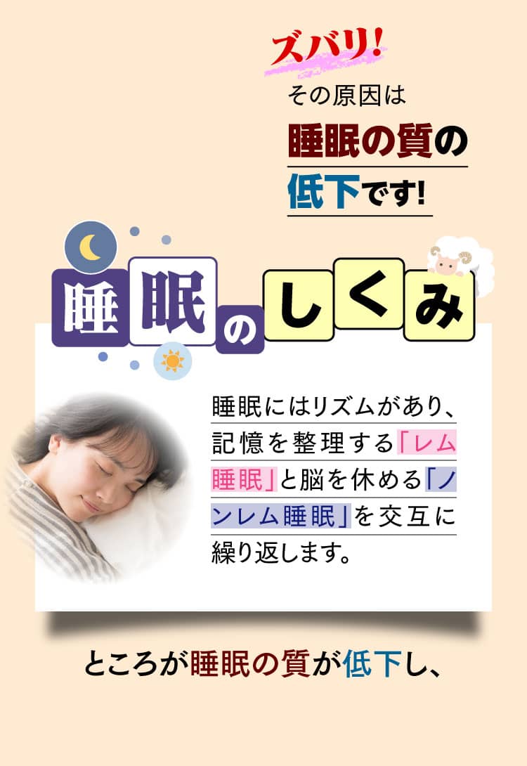 [睡眠のしくみ]睡眠にはリズムがあり、記憶を整理する「レム睡眠」と脳を休める「ノンレム睡眠」を交互に繰り返します。