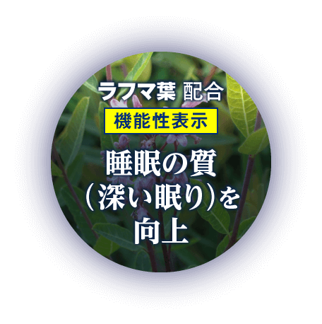 ラフマ葉 配合 機能性表示 睡眠の質（深い眠り）を向上