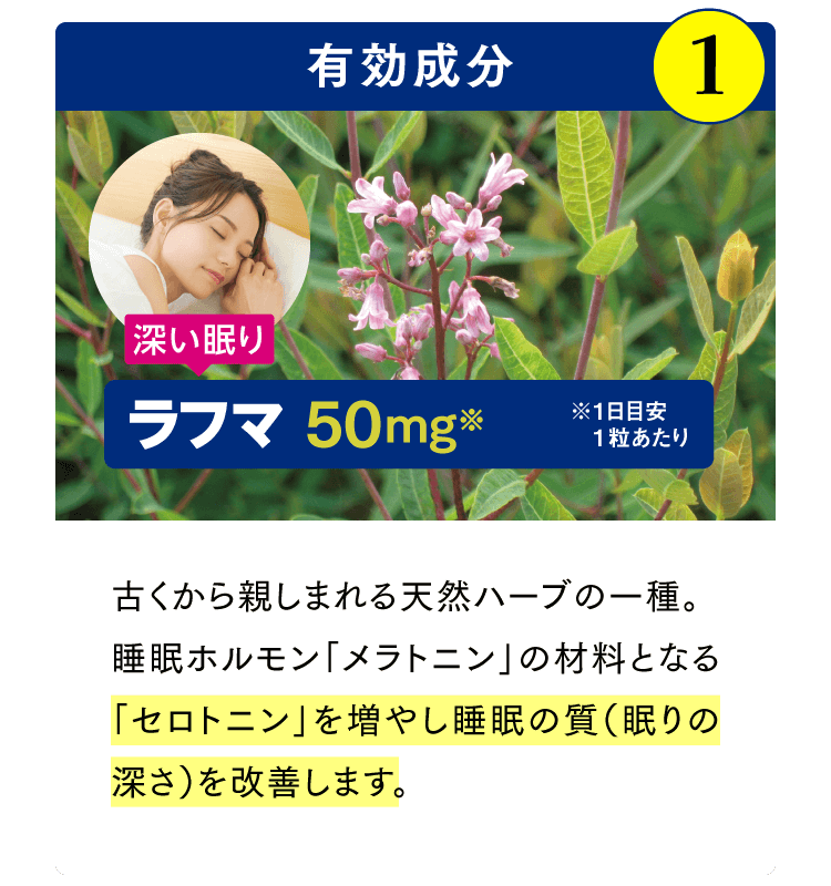 有効成分1[ラフマ] 古くから親しまれる天然ハーブの一種。睡眠ホルモン「メラトニン」の材料となる「セロトニン」を増やし睡眠の質（眠りの深さ）を改善します。