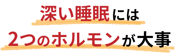 深い眠りには2つのホルモンが大事