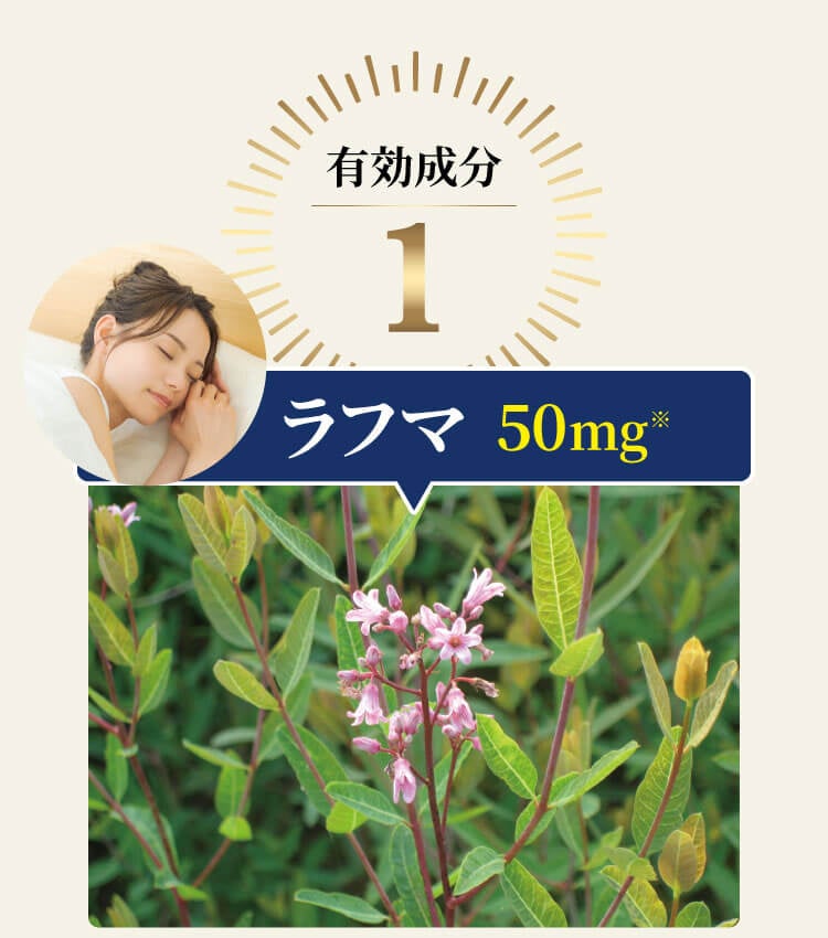 ラフマイメージ