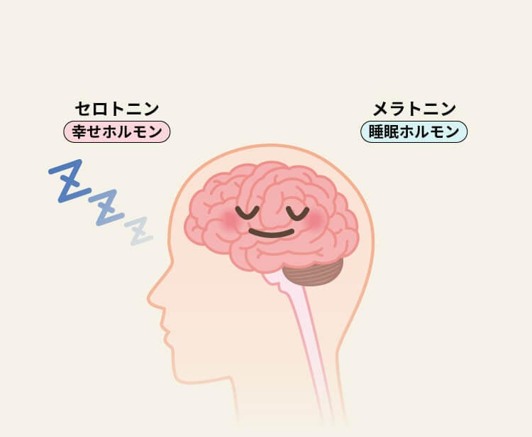 睡眠中脳内イメージイラスト